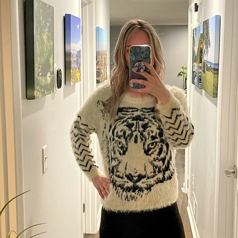 Charlotte Russe Sweater (Medium)